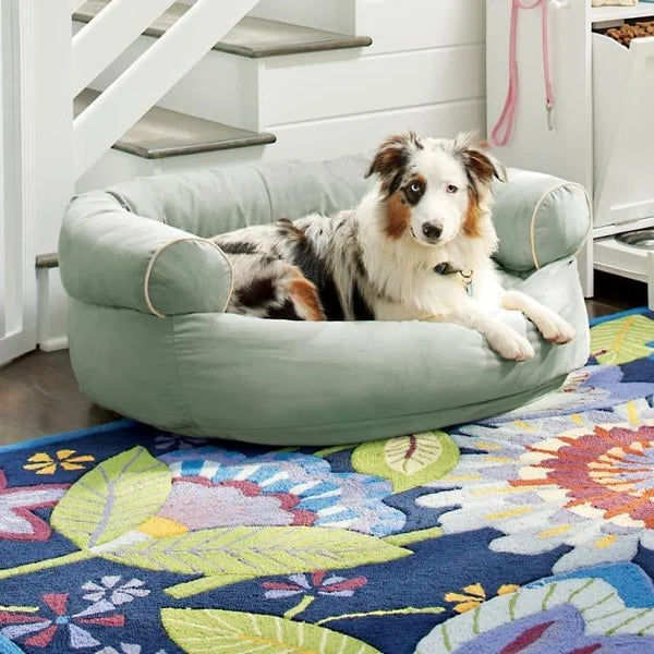 Therapeutic Beds for Your Pet's Sleep: