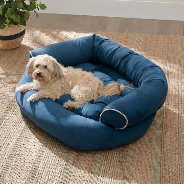 Therapeutic Beds for Your Pet's Sleep: