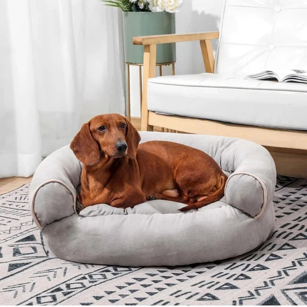 Therapeutic Beds for Your Pet's Sleep: