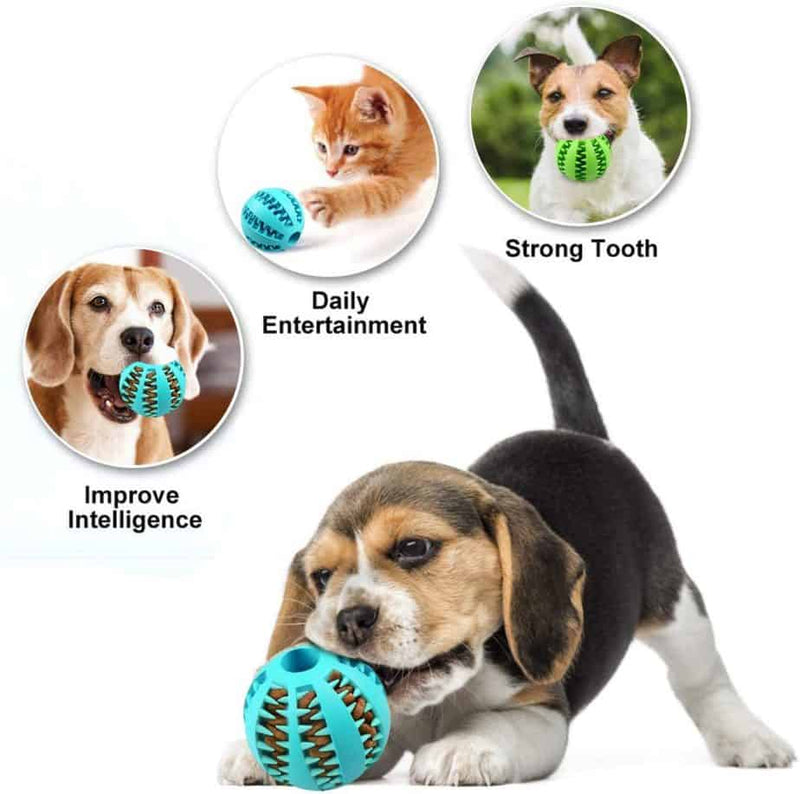 "DentaPlay Dental Ball for Dogs