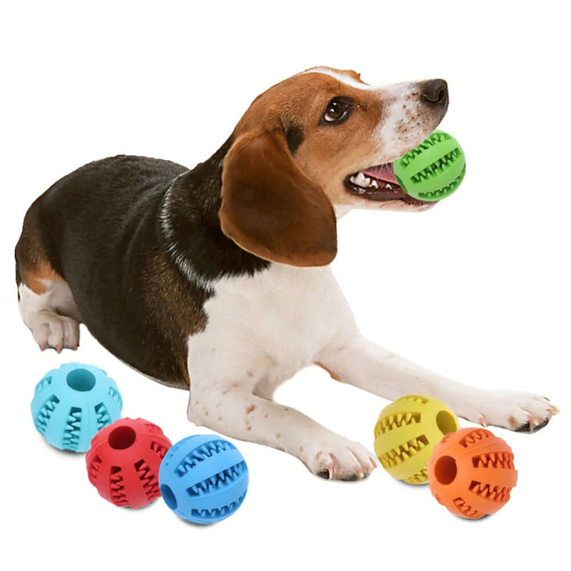 "DentaPlay Dental Ball for Dogs