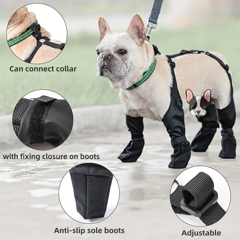 Leggings  to protect your  pet dog!!