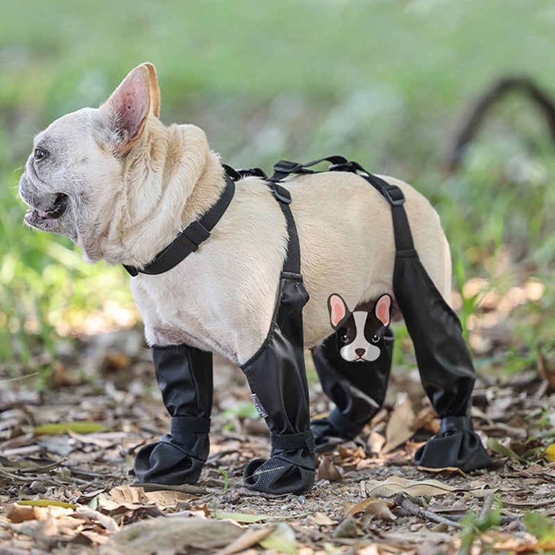 Leggings  to protect your  pet dog!!